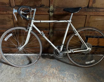 Bicycle Parts Free Spirit Ten Speed Bike Free Spirit Dynasty 10