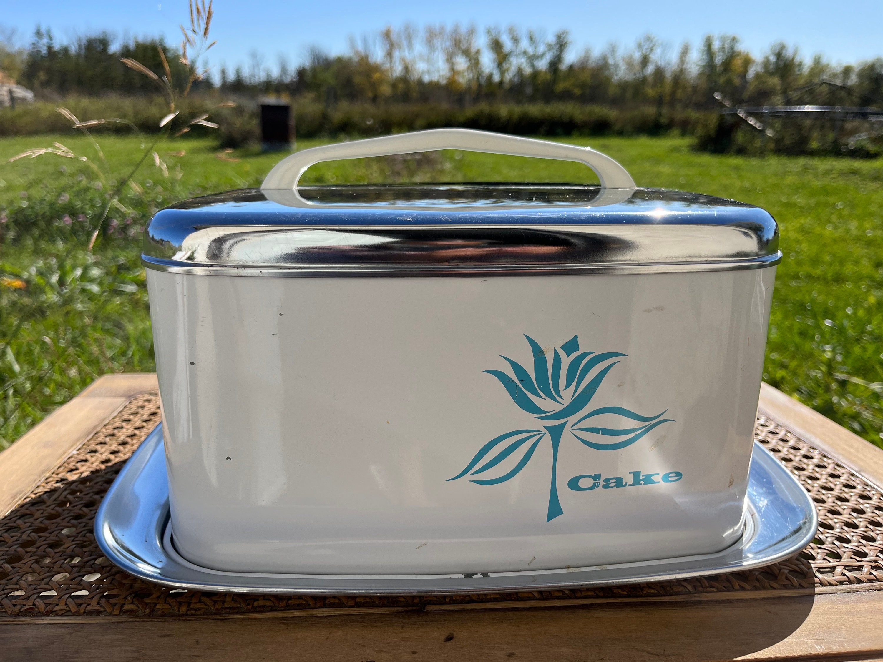 Lincoln Beautyware Cake Carrier - Etsy