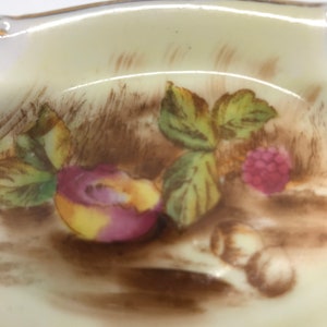 May include: A vintage porcelain dish with a brown and green floral design. The dish features a pink and yellow fruit, green leaves, and brown berries.