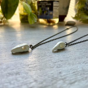 May include: Two necklaces with white bird skull pendants. The pendants are attached to a dark chain. The necklaces are displayed on a light gray wooden surface. The background includes plants and a jar of jelly.