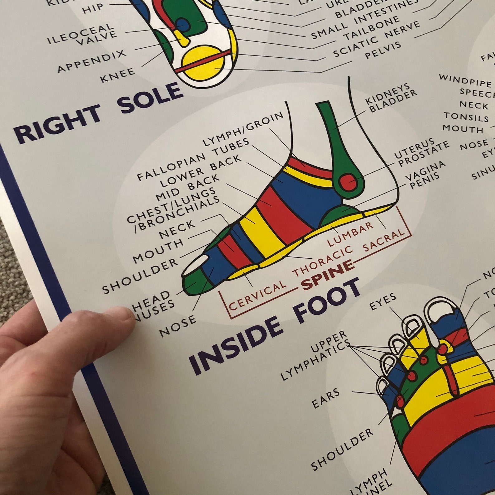 Reflexology Poster Foot Massage Zones Chart Etsy