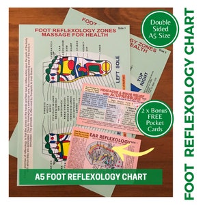 Voetreflexologie gids klein