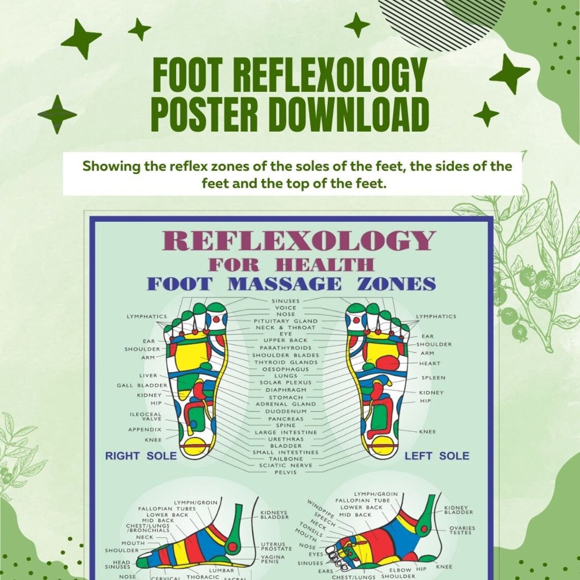 Reflexology Poster Foot Massage Zones Chart Etsy