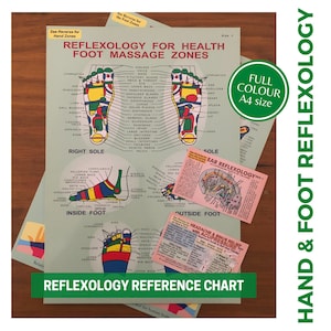 Reflexology Guide Hand and Foot