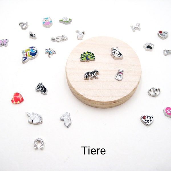 Charm-Set Tiere, Floating Charms, Medaillon Charms, Metall Charms