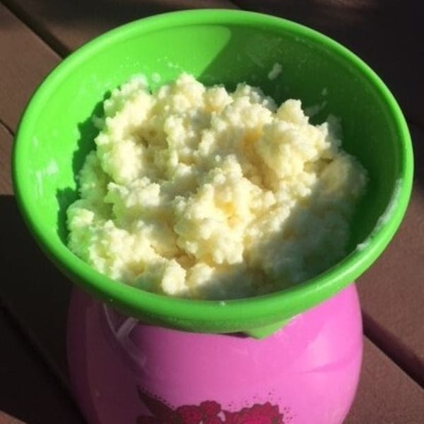 LIVE ORGANIC Milk Kefir Grains