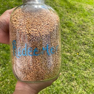 May include: A clear glass jar filled with wheat kernels, held against a backdrop of green grass. The jar has a silver lid and the word "redeemer" is written in blue script on the side.