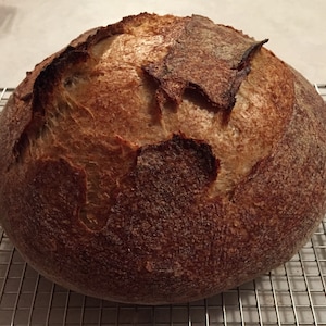 WHOLE Sourdough Bread YOUR Way