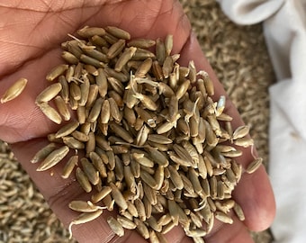 ORGANIC Stone-Milled Wheat FLOUR