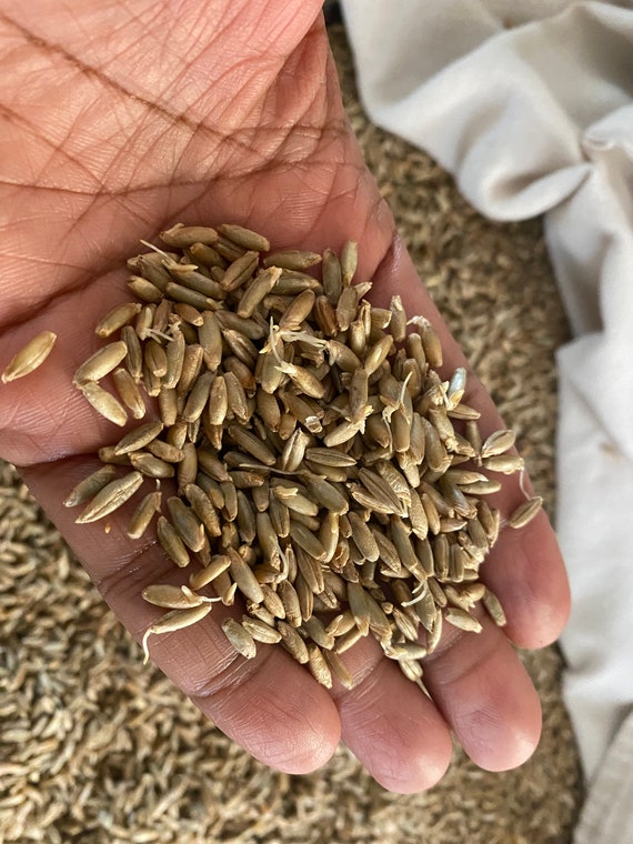 ORGANIC Stone-Milled Wheat FLOUR