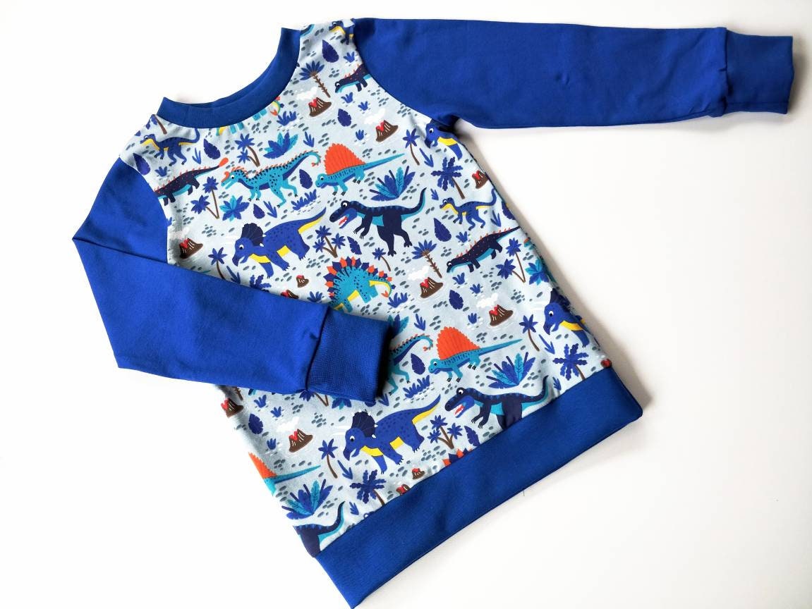 Dinosaurier Kapuzenpullover Für Jungen - Baumwolle Hoodie Mit Rundhals Für 5-12 Jahre