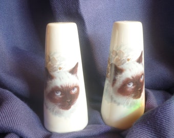 Salt and pepper shakers with kittens