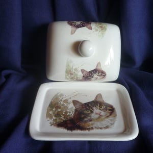 Könnte beinhalten: Eine weiße Keramik-Butterdose mit Deckel, verziert mit Katzenillustrationen. Die Dose hat eine rechteckige Basis und einen abgerundeten Deckel mit einem kleinen Knopf. Die Katzenporträts sind in Braun-, Grau- und Weißtönen mit grünen Akzenten gehalten.