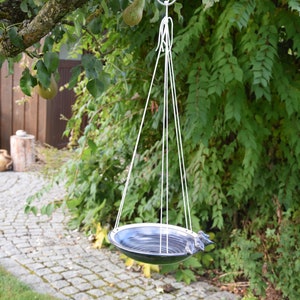May include: A black and white ceramic bird bath hanging from a tree branch. The bath is suspended by a white rope and has a metal hook.
