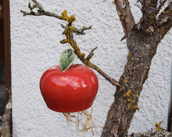 Apfel als Insektenhotel