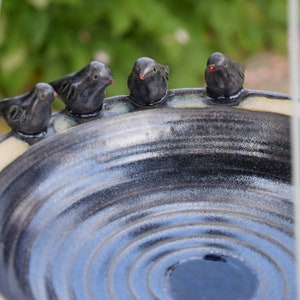 May include: A ceramic bird bath with a blue and white glaze. Four small black birds are perched on the rim of the bath. The bath is suspended from a white cord.