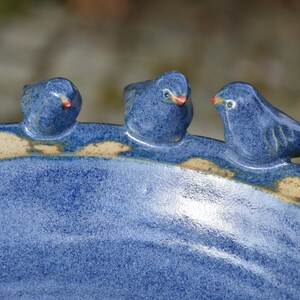Pode incluir: Um bebedouro para p&aacute;ssaros de cer&acirc;mica azul com quatro p&aacute;ssaros azuis empoleirados na borda. Os p&aacute;ssaros t&ecirc;m bicos vermelhos e olhos brancos.