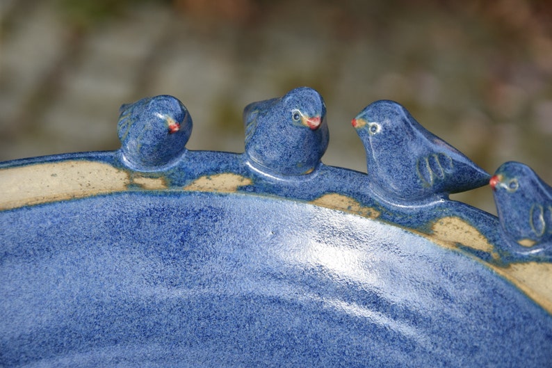 Pode incluir: Um bebedouro para p&aacute;ssaros de cer&acirc;mica azul com quatro p&aacute;ssaros azuis empoleirados na borda. Os p&aacute;ssaros t&ecirc;m bicos vermelhos e olhos brancos.