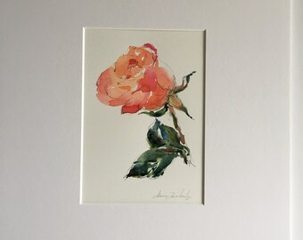 representación de acuarela de la vida real rosa.