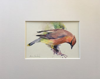 Preciosa Cera de Cedro