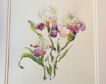 Spring Irises
