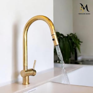 May include: A gold kitchen faucet with a pull-down sprayer, extending over a white sink. Water is flowing from the faucet.