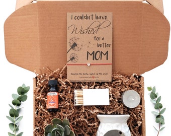 Mom Gift Box, Mom's Gifts Succulent Gift Box Set, Fragrance Oil Gift Box Oil Warmer, Gift for Mom, Send a Gift to First Time Mom, Oil Scent