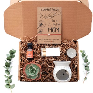 Succulent Gift Box, Mothers Day Gift Box, Fragrance Oil Gift Box with Oil Warmer, Gift for Mom, Send a Gift to First Time Mom, Oil Scent
