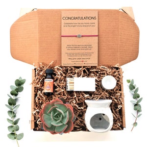Congratulations Gift Box, Graduation Gift Box, Succulent Gift Box, Care Package, Fragrance Oil Gift Box with Oil Warmer, Gift for Graduate