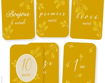 Lot cartes /étapes de grossesse Amour Infini 26 visuels en photo souvenirs pour futures mamans.