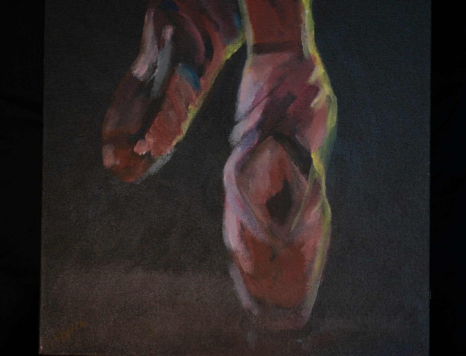 ballet shoes painting