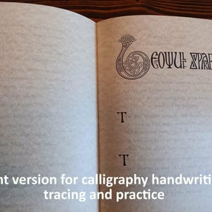 Puede incluir: Libro abierto con texto tenue y un dise&ntilde;o decorativo de nudo celta. El texto "Faint version for calligraphy handwriting tracing and practice" est&aacute; en la parte inferior de la p&aacute;gina. Las p&aacute;ginas del libro son de color blanquecino.
