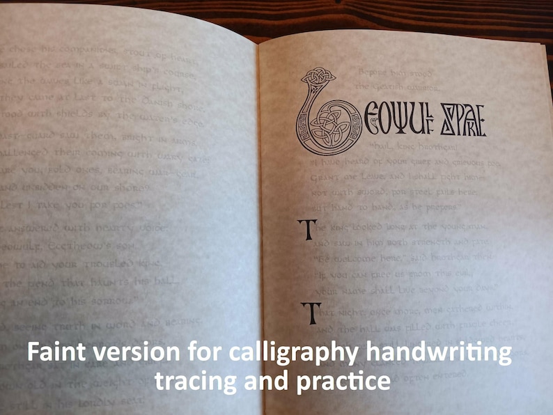 Puede incluir: Libro abierto con texto tenue y un dise&ntilde;o decorativo de nudo celta. El texto "Faint version for calligraphy handwriting tracing and practice" est&aacute; en la parte inferior de la p&aacute;gina. Las p&aacute;ginas del libro son de color blanquecino.