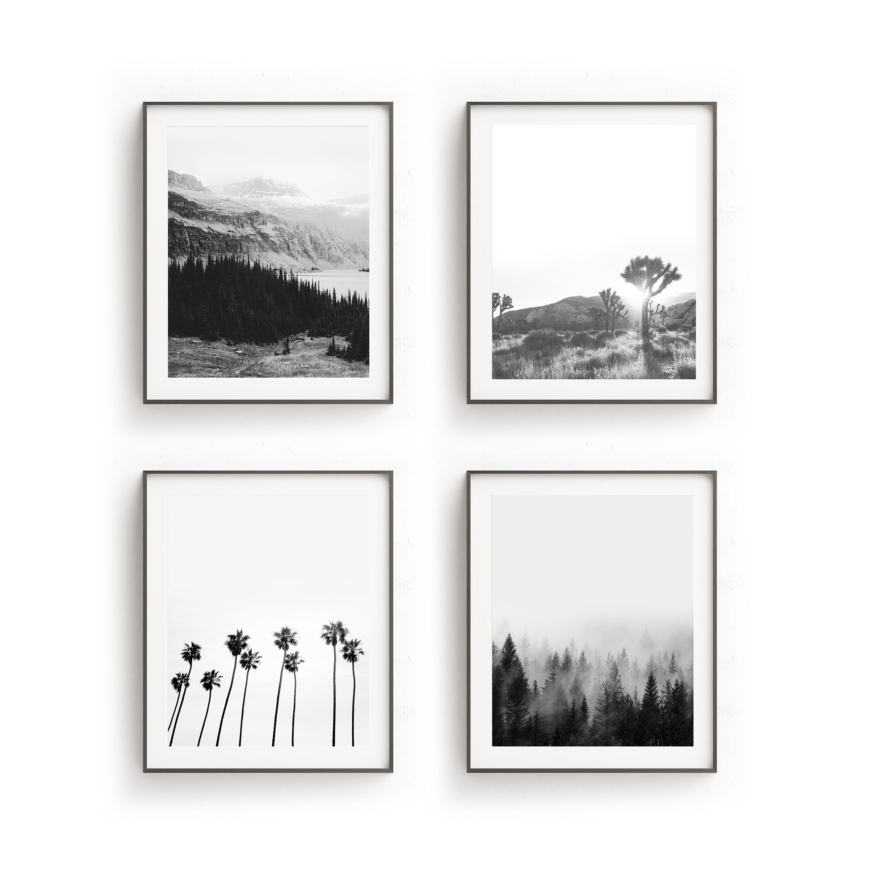 4x6in Set of 3 black and white photography prints nature photo collage wall art 