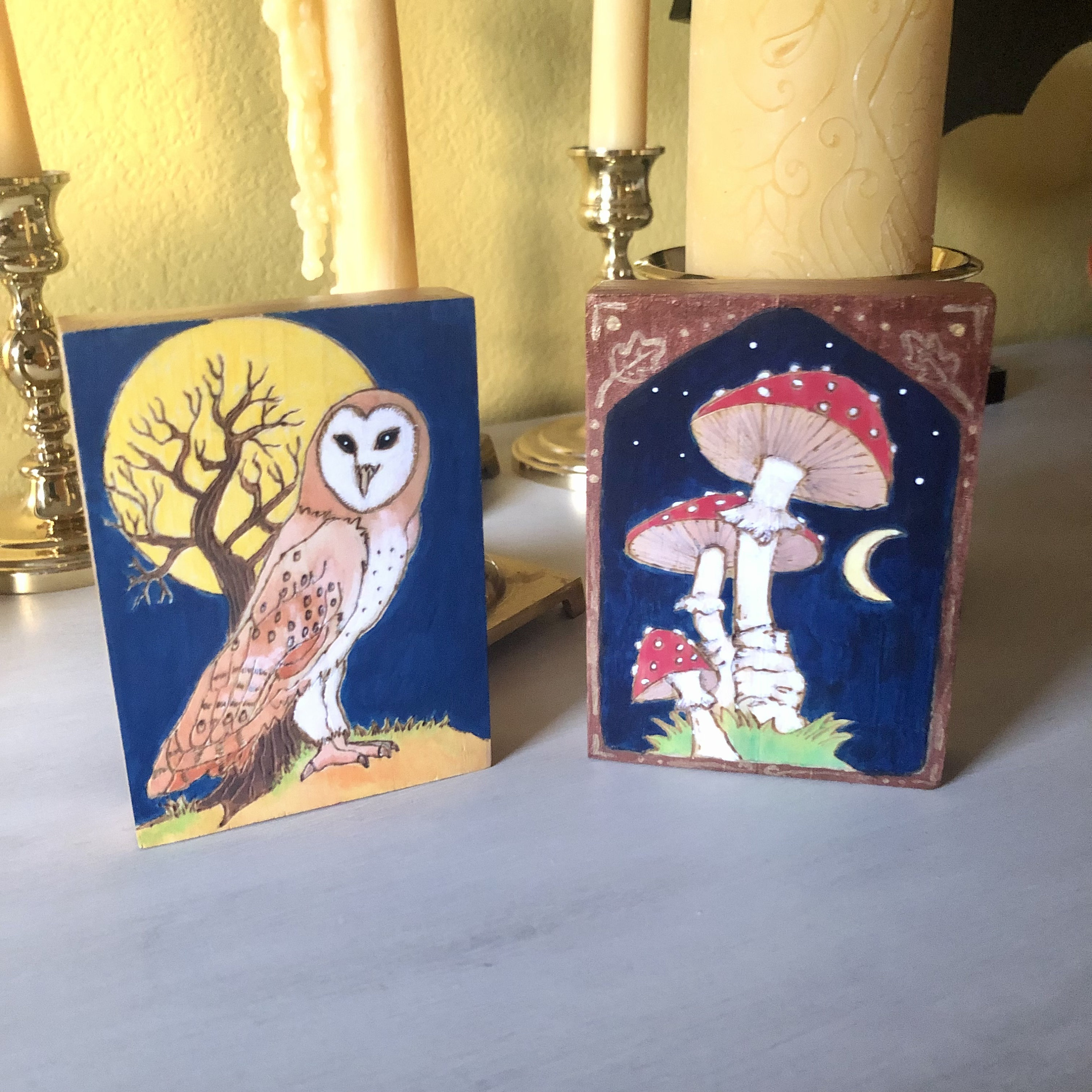 Barn Owl or Mushroom Pyrography Art, Original Painting and Woodburning, Shelf Sitter