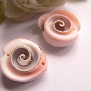 Op de afbeelding: Twee roze schelpen met een spiraalvormig patroon in het midden. De schelpen zijn glad en hebben een glanzende afwerking.