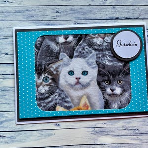 Gutschein „Katze", Gutschein, Gutscheinkarte, Gutschein rund um die Katze