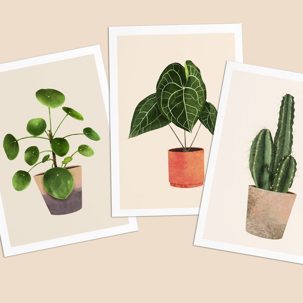 Postkarten mit Pflanzen, 3er Set Pilea, Herzblatt, Kaktus