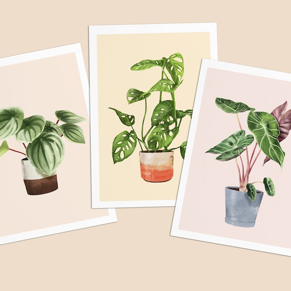 Postkarten mit Pflanzen, 3er Set, Alocasia, Monkey Monstera, Watermelon