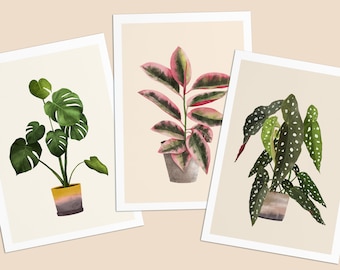 Postkarten mit Pflanzen, 3er Set Pilea, Herzblatt, Kaktus - Etsy sterreich