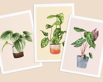 Postcards with plants, set of 3, Alocasia, Monkey Monstera, Watermelon