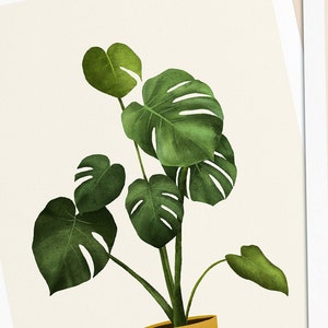 Postkarten mit Pflanzen, 3er Set Monstera, Ficus, Begonia immagine 2