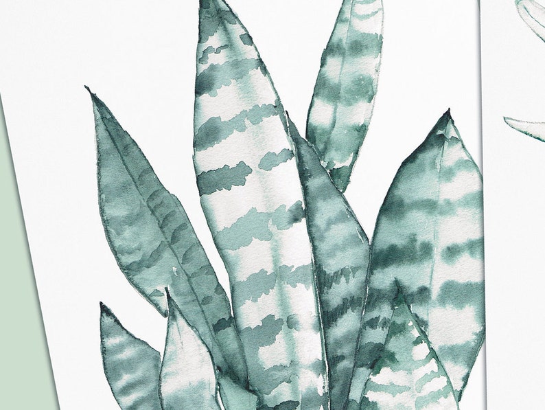Postcards with plants watercolor, set of 3 cactus, palm, agave image 2