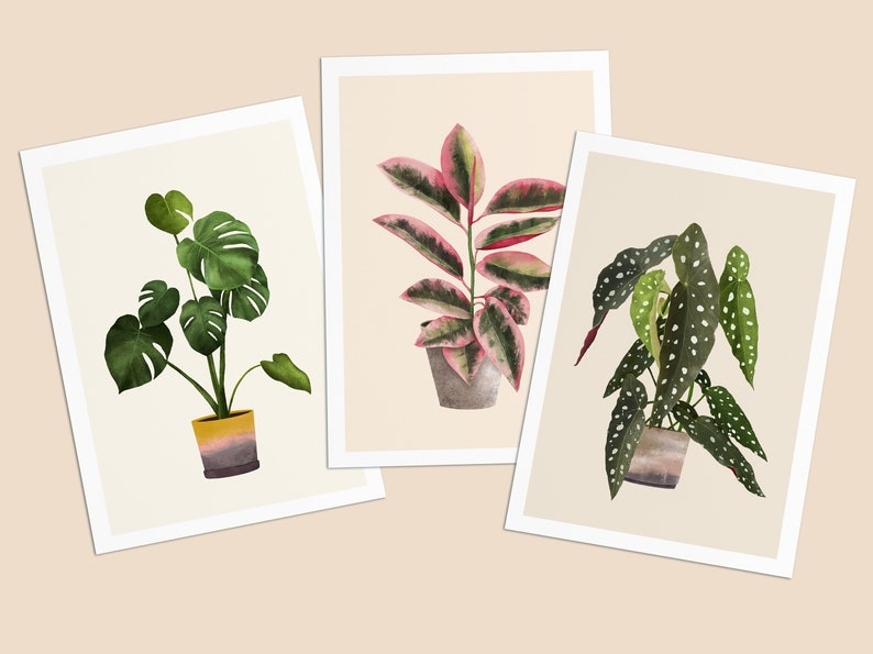 Postkarten mit Pflanzen, 3er Set Monstera, Ficus, Begonia immagine 1