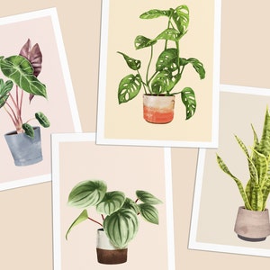 Postkarten mit Pflanzen, 4er Set, Alocasia, Monkey Monstera, Watermelon, Sanseviera