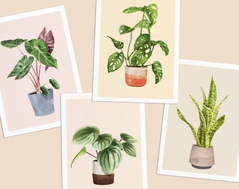 Postcards with plants, set of 4, Alocasia, Monkey Monstera, Watermelon, Sanseviera