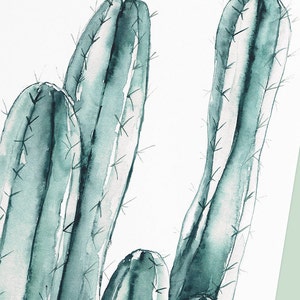 Postcards with plants watercolor, set of 3 cactus, palm, agave image 4