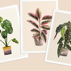 Postkarten mit Pflanzen, 3er Set Monstera, Ficus, Begonia immagine 5