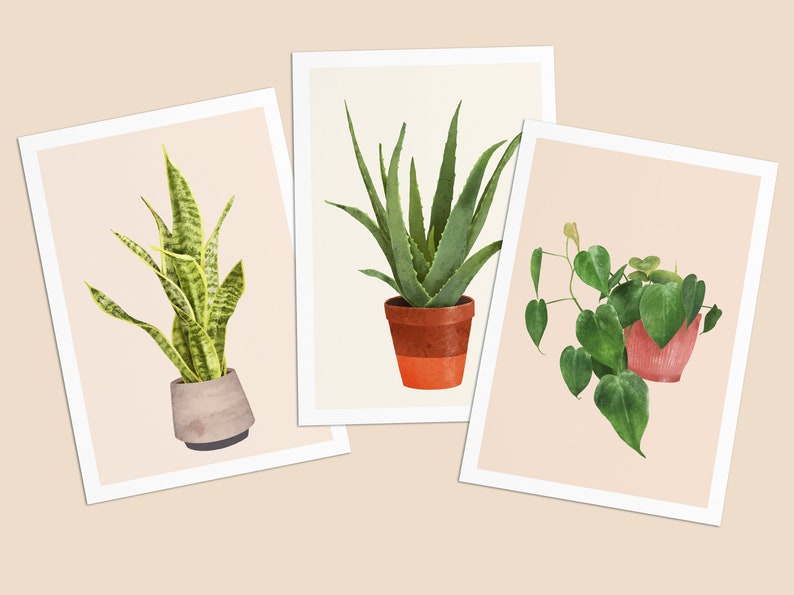 Postkarten mit Pflanzen, 3er Set, Sanseviera, Aloe Vera, Herzblatt Philodendron Bild 1