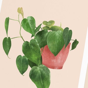 Postkarten mit Pflanzen, 3er Set, Sanseviera, Aloe Vera, Herzblatt Philodendron Bild 4